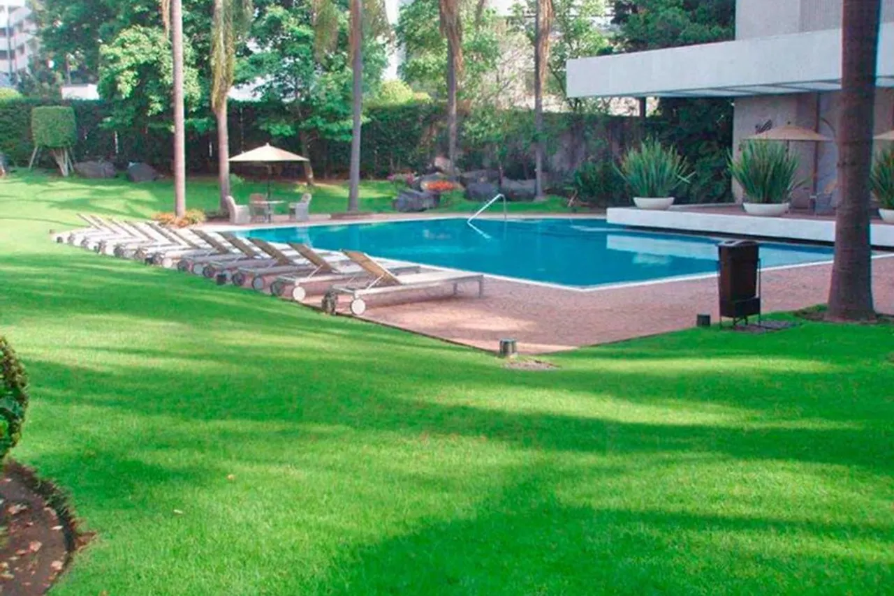 Royal Pedregal — ภาพห้องพักและบรรยากาศ