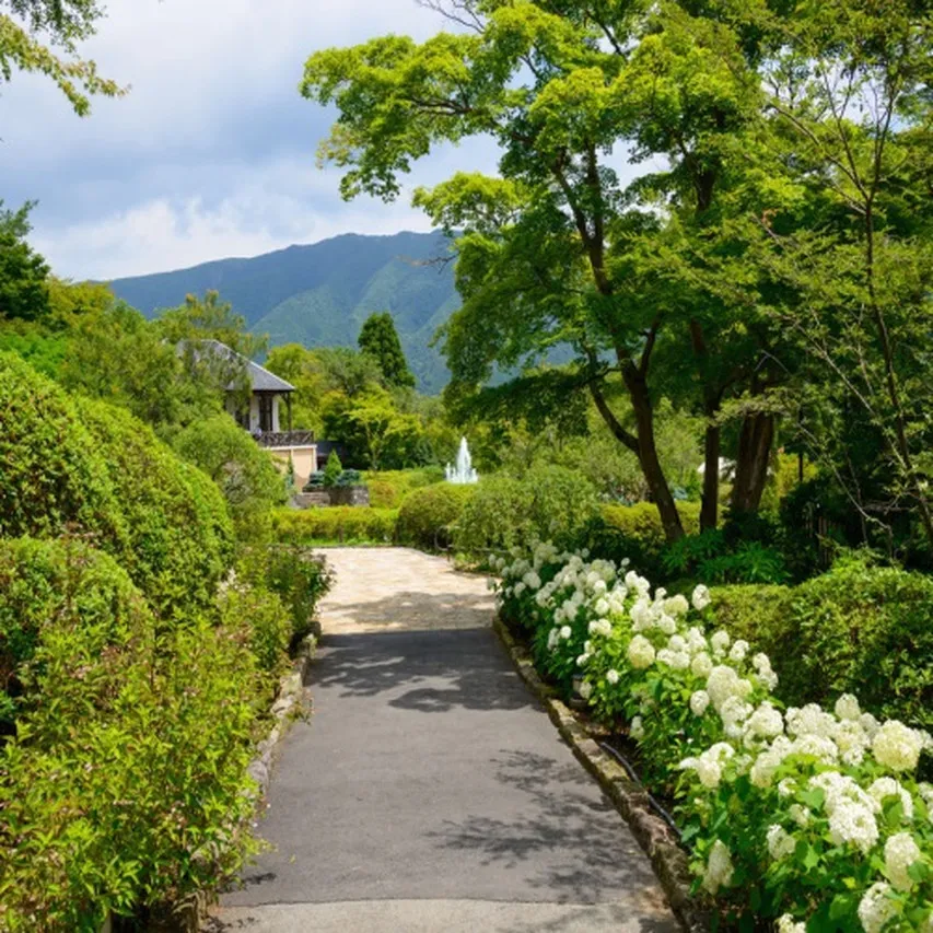 Ryokan Gora Tensui — rooms and atmosphere