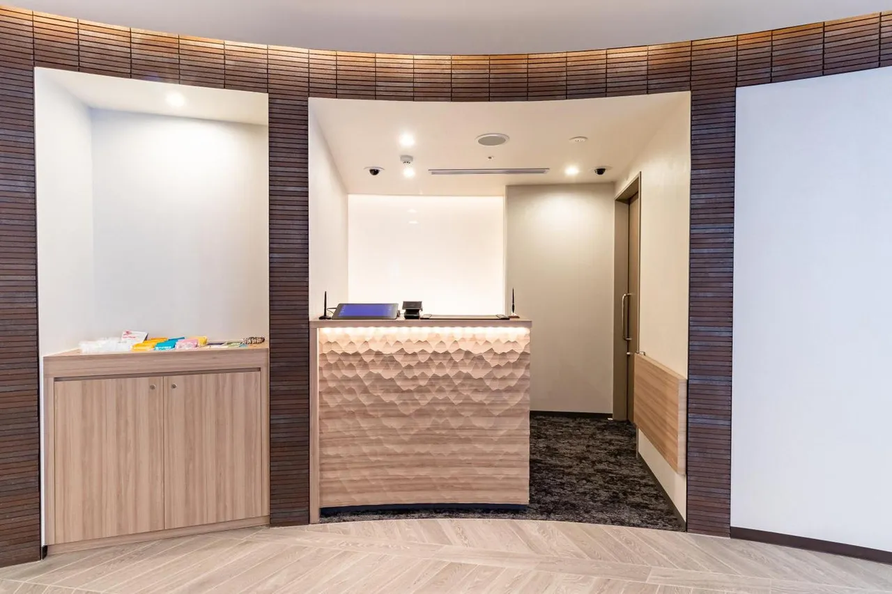 Sotetsu Fresa Inn Yokohama-Higashiguchi — rooms and atmosphere