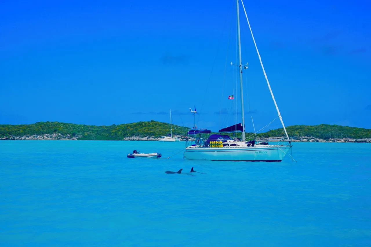 St. Francis Resort & Marina — ภาพห้องพักและบรรยากาศ
