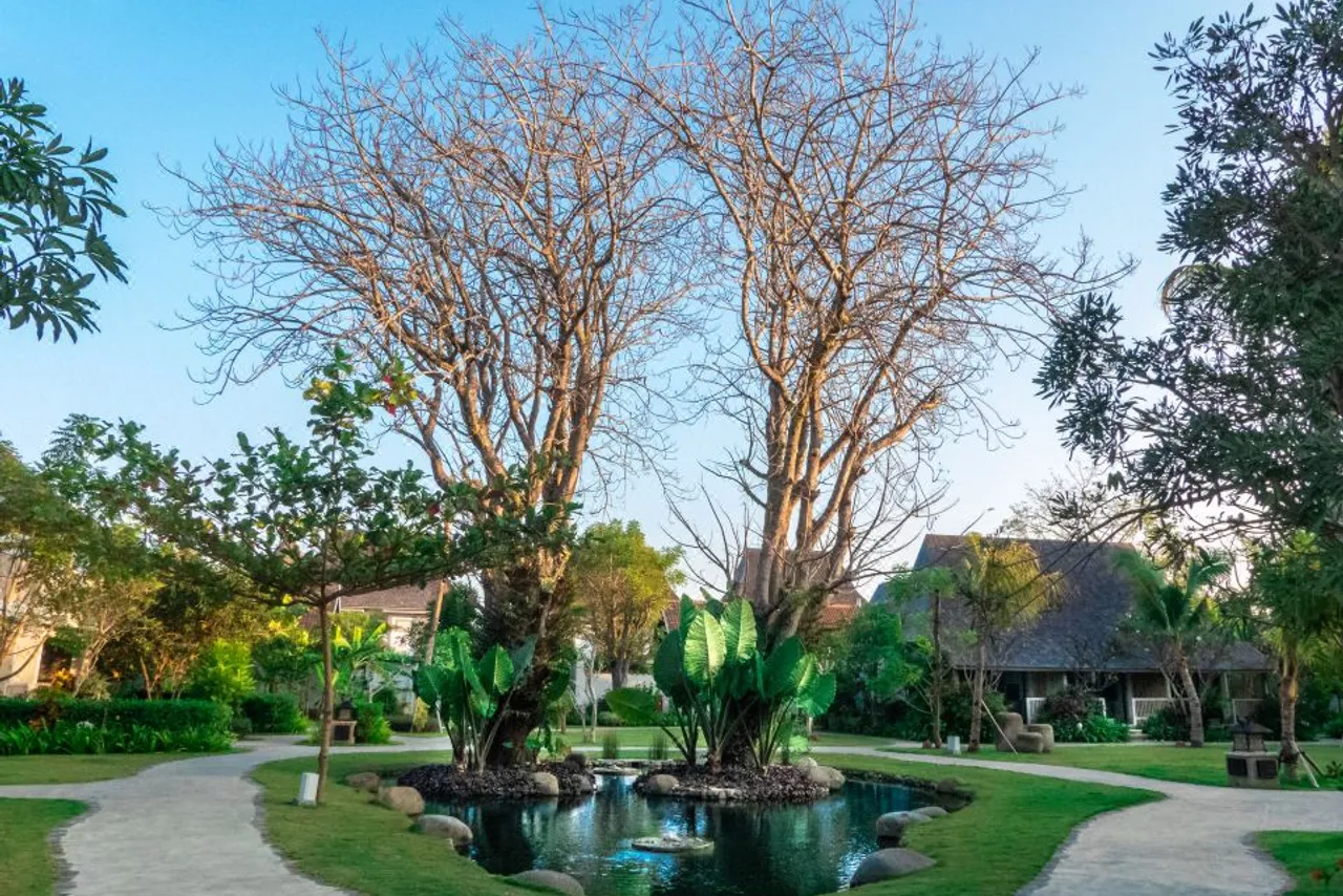 Sudamala Resort, Komodo, Labuan Bajo — ภาพห้องพักและบรรยากาศ