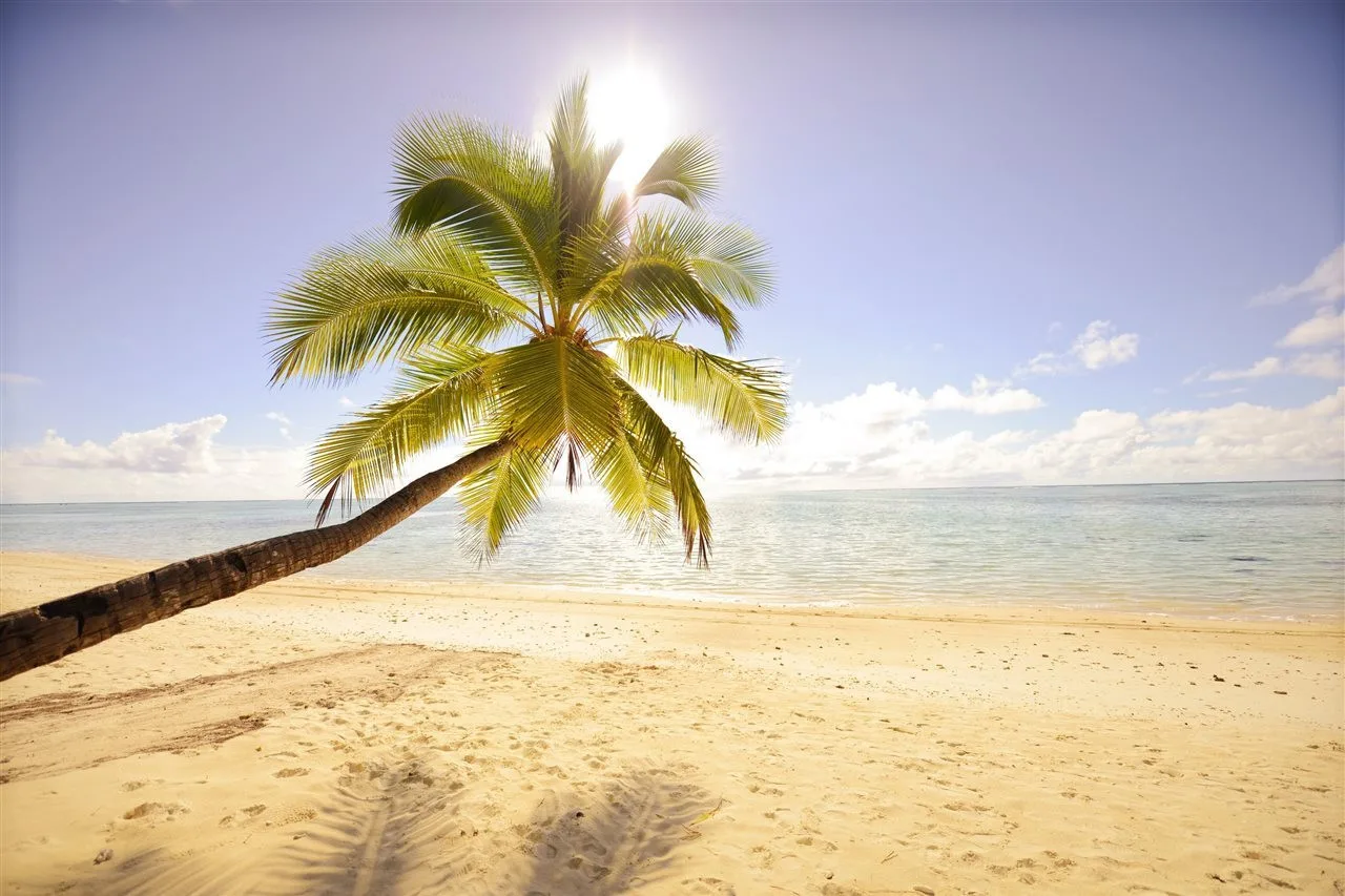 Tamanu Beach — ภาพห้องพักและบรรยากาศ