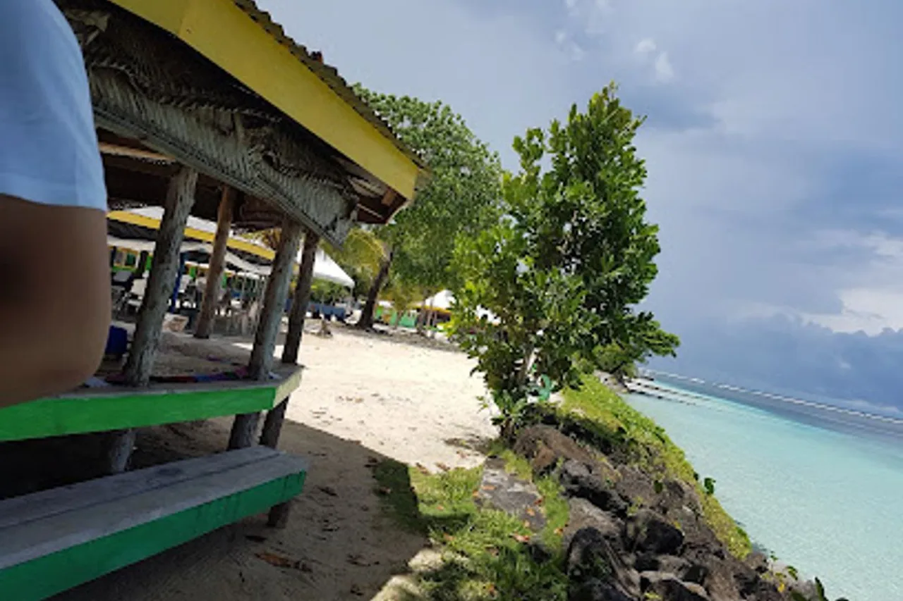 Tanu Beach Fales — ภาพห้องพักและบรรยากาศ
