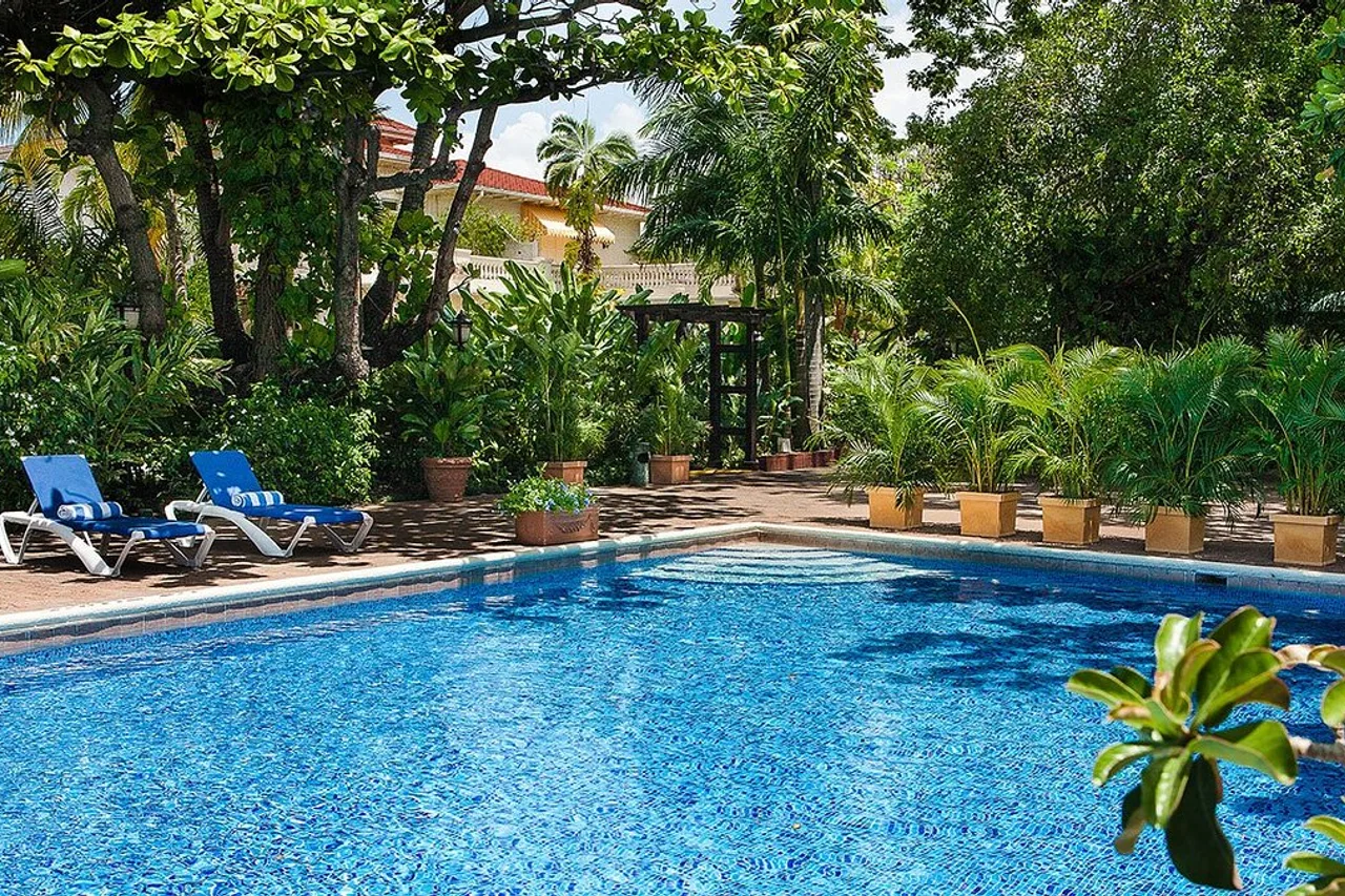 Terra Nova All-Suite Hotel — ภาพห้องพักและบรรยากาศ