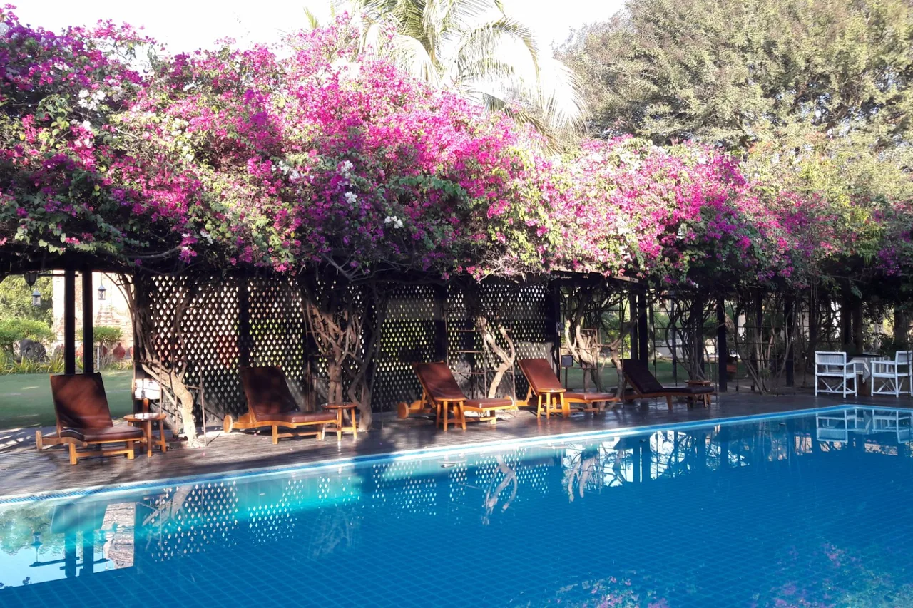 Thazin Garden Hotel — ภาพห้องพักและบรรยากาศ