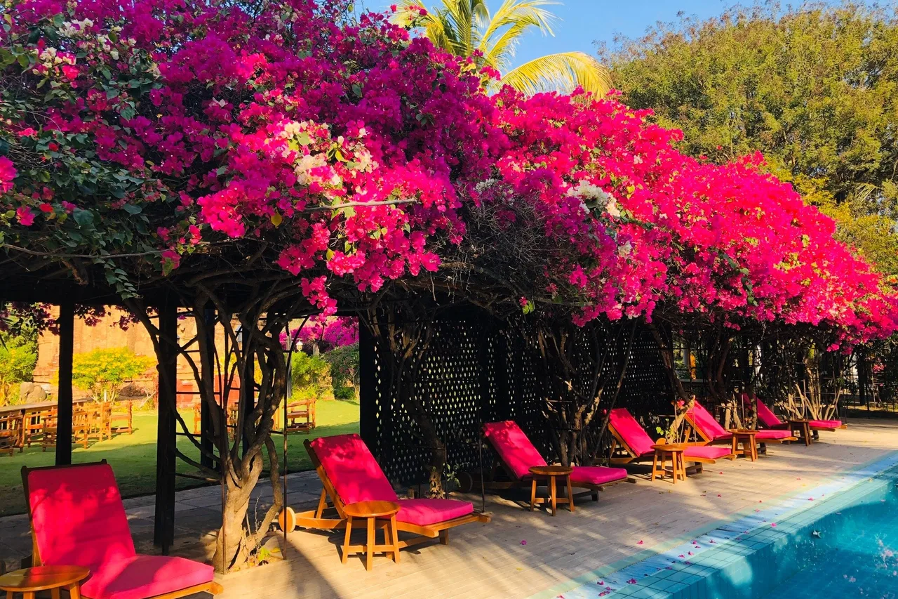 Thazin Garden Hotel — ภาพห้องพักและบรรยากาศ