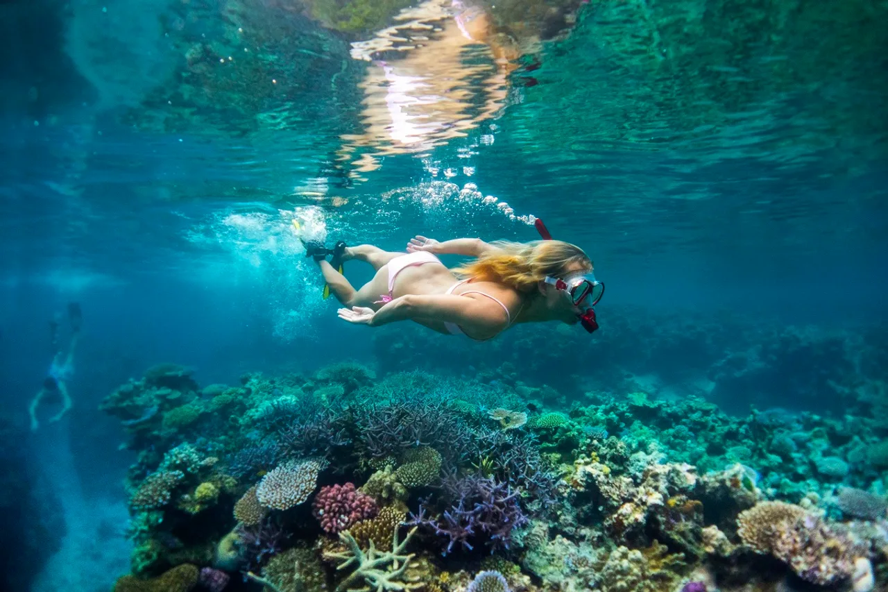 The Havannah Vanuatu — Exclusively for Adults — rooms and atmosphere