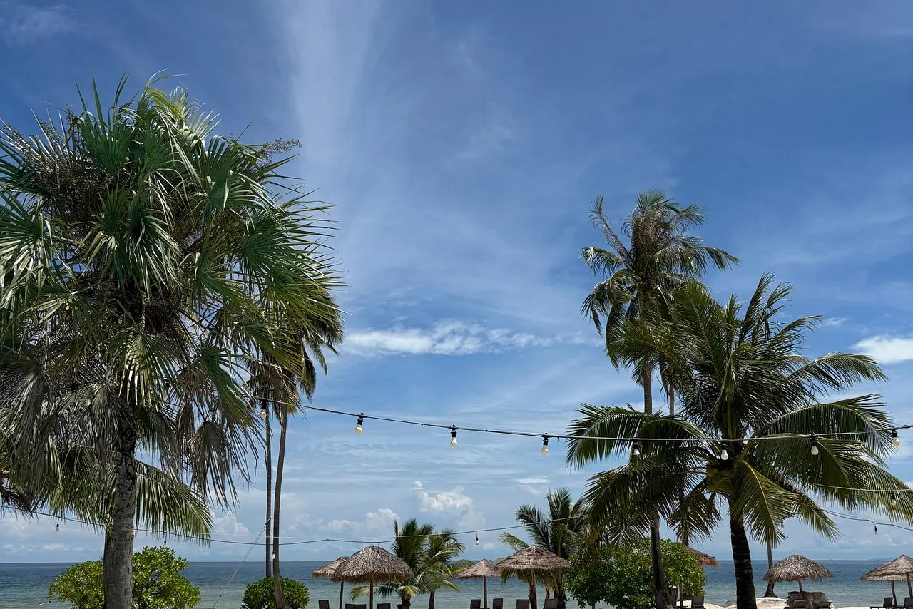 The One Resort — ภาพห้องพักและบรรยากาศ