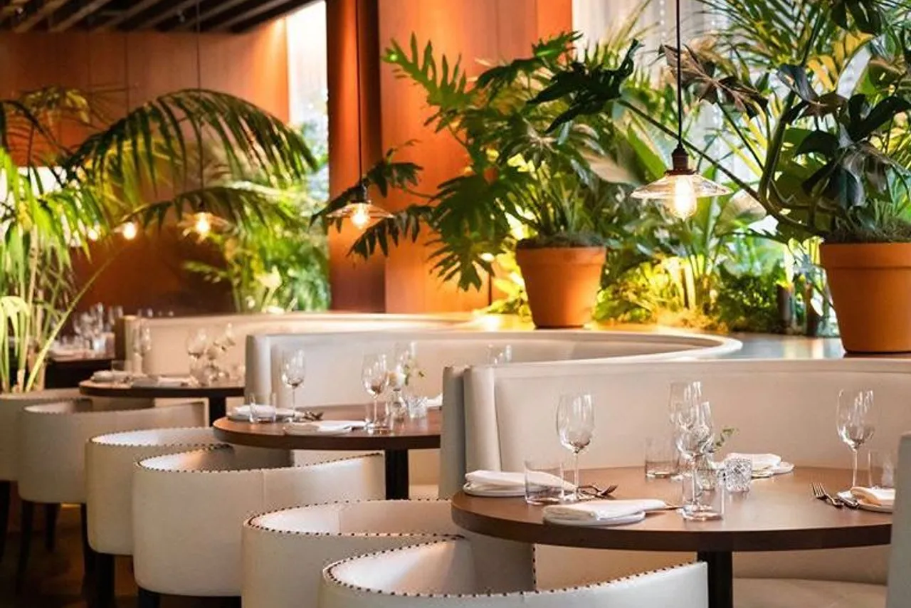 The West Hollywood EDITION — ภาพห้องพักและบรรยากาศ