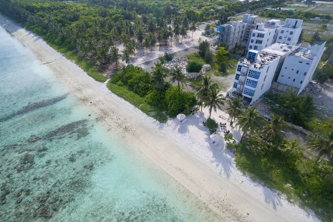 The White Harp Beach Hotel — ภาพห้องพักและบรรยากาศ