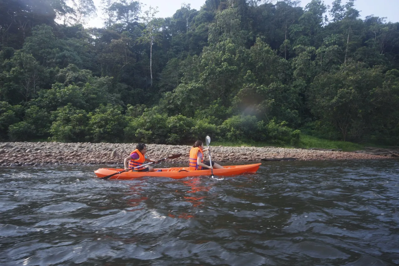 Trandie Marina Resorts @ Binturong Lodge — ภาพห้องพักและบรรยากาศ