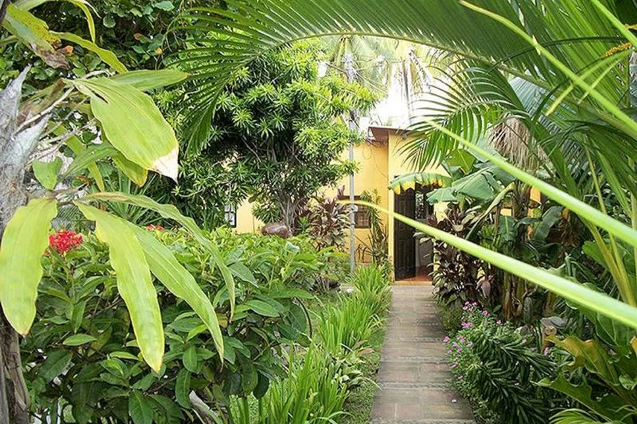 Tunco Lodge — ภาพห้องพักและบรรยากาศ