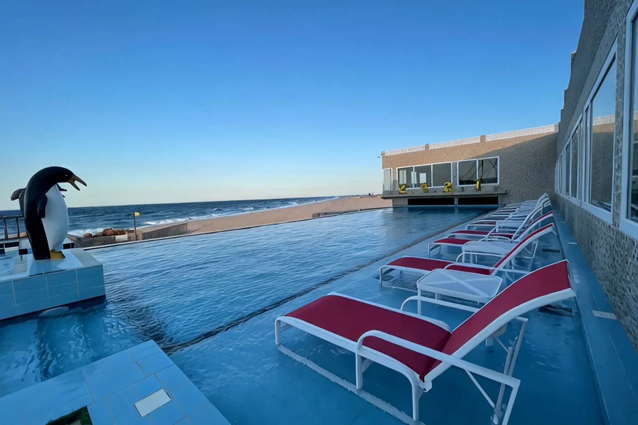 Turtle Beach Resort — ภาพห้องพักและบรรยากาศ