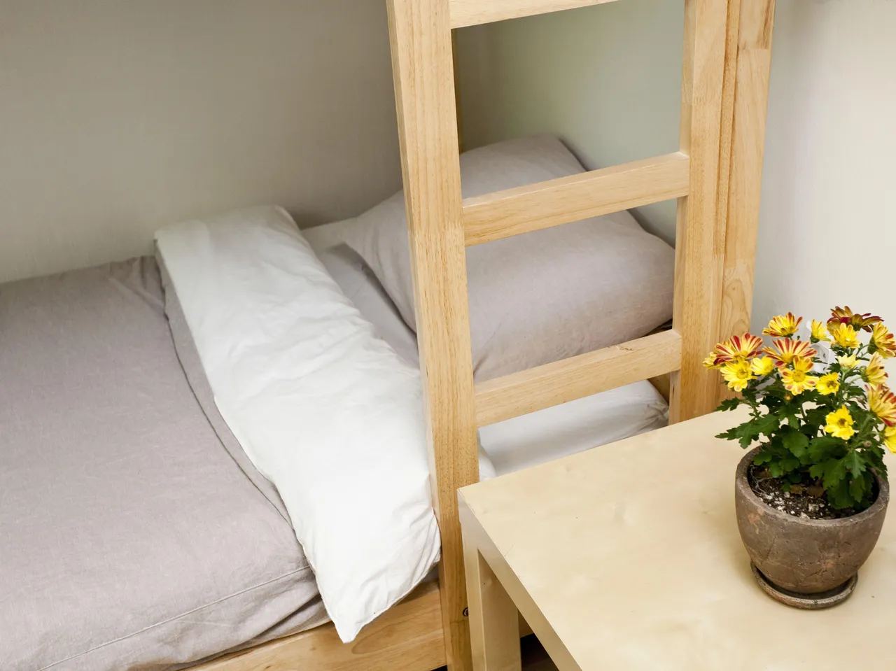 Twin Rabbit Guesthouse — rooms and atmosphere
