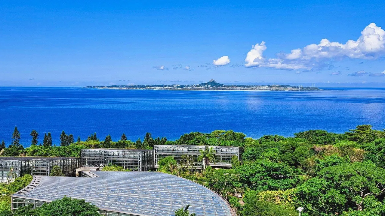 Wisteria Condominium Resort — rooms and atmosphere