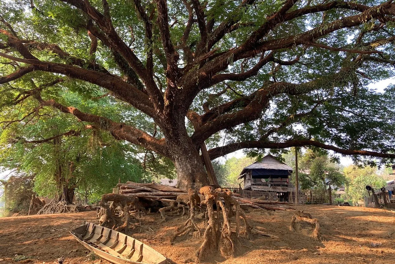 Yoma Cherry Lodge — ภาพห้องพักและบรรยากาศ