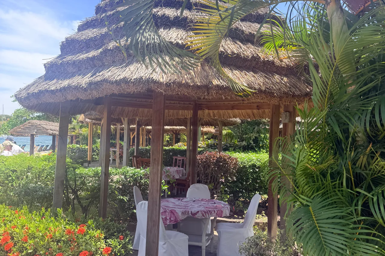Young Island Resort — ภาพห้องพักและบรรยากาศ