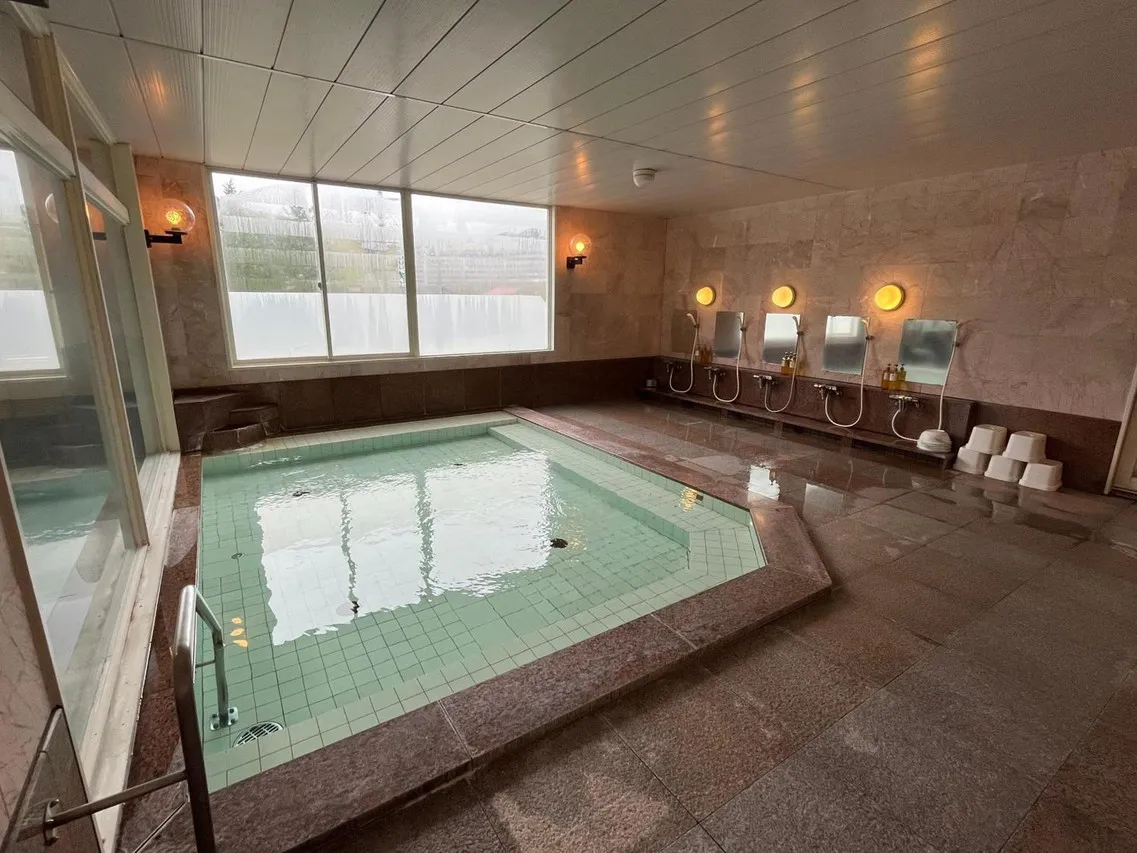 Hotel Yuzawa Denkiya — rooms and atmosphere