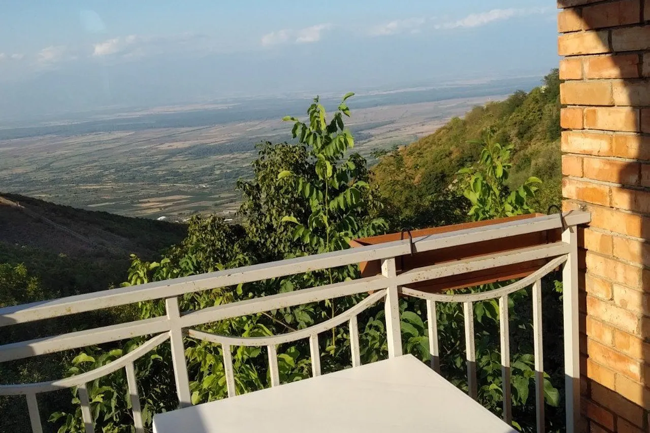 Zandarashvili Guest House — ภาพห้องพักและบรรยากาศ