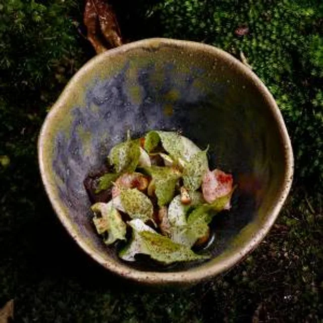 Locavore NXT – เทมเป้มันสำปะหลัง/เผือกในซอสหมัก ในอูบุด (บาหลี)